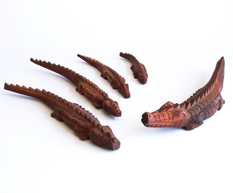 Wood - Timor Crocodile